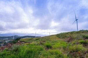 bellissimo paesaggio nel il mattina a causa dato, da lat città, lam dong Provincia. vento energia su tè collina, mattina scenario su il pendio di tè piantato foto