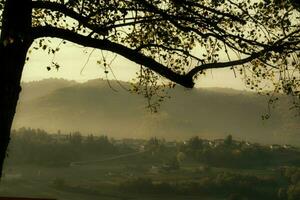 autunno paesaggi di il piemontese langhe con il luminosa colori di autunno nel novembre foto