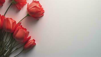 ai generato rosso tulipani su bianca sfondo con copia spazio. generativo ai foto