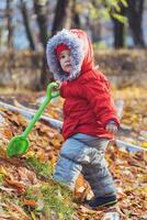 poco ragazzo passeggiate nel il parco con un' pala foto