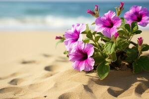 ai generato fiori su spiaggia foto