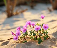 ai generato fiori su spiaggia foto