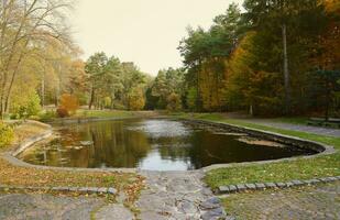 bellissimo natura autunno paesaggio con lago. scenario Visualizza su autunno città parco con d'oro giallo fogliame nel nuvoloso giorno foto