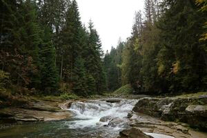 un' luminosa blu fiume fluente attraverso foresta come il sole inizia per impostato nel un' nascosto parco lungo il panoramico guidare nel hoverla montagne la zona foto