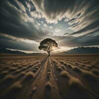 ai generato solitario albero nel il deserto a tramonto. generativo ai foto