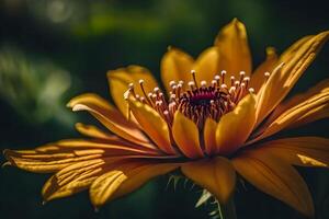 ai generato un' vicino su di un' giallo fiore foto