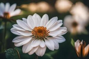 ai generato bianca fiori con giallo centro nel il mezzo foto