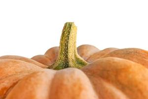 fotografia macro di zucca. messa a fuoco selettiva della zucca di halloween foto