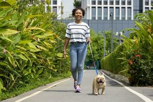 la donna afroamericana sta camminando con il suo cucciolo di bulldog francese nel parco per cani sul prato dopo aver fatto esercizio mattutino durante l'estate foto