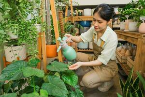 ritratto di asiatico donna Lavorando nel un' pianta negozio foto