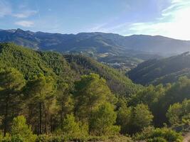 illuminata dal sole montagne e pino foreste foto