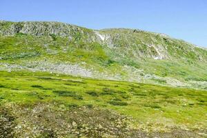 un' verde collina paesaggio foto