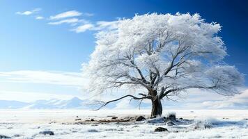 ai generato inverno paesaggio con congelato albero e blu cielo. foto