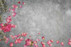 grigio cemento sfondo con rosa rosa petali con m-cane per testo, San Valentino foto