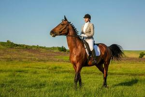 giovane donna equitazione un' cavallo su il verde campo foto