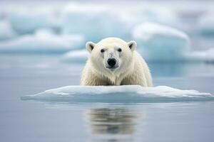 ai generato polare orso ursus maritimus su il imballare Ghiaccio, nord di svalbard artico Norvegia, un' polare orso ursus maritimus su il imballare Ghiaccio, nord di Svalbard, artico Norvegia, ai generato foto