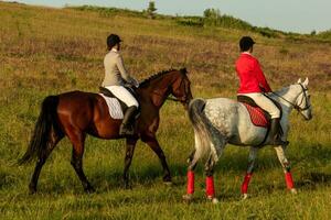 Due giovane donne equitazione cavallo nel parco. cavallo camminare nel estate foto