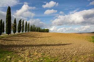 famoso Toscana paesaggio con curvo strada e cipresso, Italia, Europa. rurale azienda agricola, cipresso alberi, verde campo, luce del sole e nube. foto