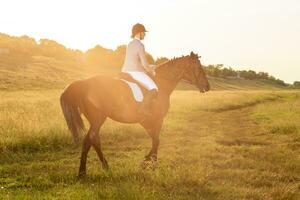 equestre sport. giovane donna equitazione cavallo su dressaggio Avanzate test. sole bagliore foto