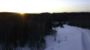 aereo Visualizza di un' gatto delle nevi guida lungo pino albero foresta. clip. tramonto cielo e rurale neve coperto strada. foto