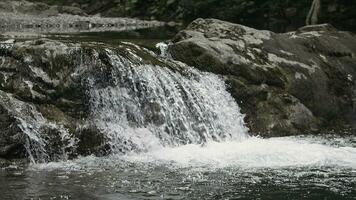 bellissimo cascata su il fiume nel montagnoso regione. creativo. calmante piccolo cascata e freddo fluente flusso. foto