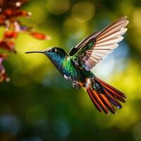 ai generato un' vivace colibrì librarsi nel a mezz'aria, suo iridescente piume scintillante nel il luce del sole foto