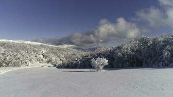 fantastico inverno paesaggio di alto montagna e nevoso foresta su nuvoloso, blu cielo sfondo. sparo. soleggiato giorno nel bianca, inverno rocce e alberi coperto con neve contro luminosa cielo. foto