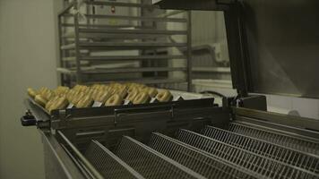 industriale produzione di ciambelle. scena. il forno pane industria, caramella fabbrica, biscotti e bagel o ciambelle fare un' lotto a il forno dolce fabbrica foto