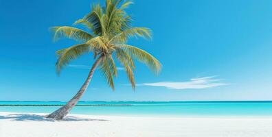 ai generato un Immagine di un' palma albero su un' bianca sabbioso spiaggia foto