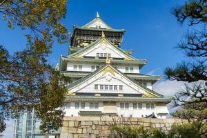 bellissimo architettura osaka castello con albero foto