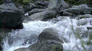 un' enorme Jet di acqua. clip. chiaro freddo acqua battito contro grigio enorme pietre . foto