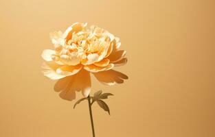 ai generato un' singolo fiorire il ombra peonie tela Stampa foto