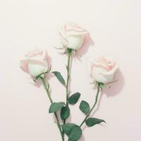 ai generato tre Rose disposte su un' bianca sfondo, foto