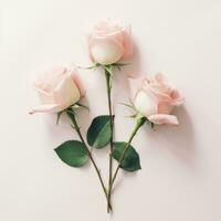 ai generato tre Rose disposte su un' bianca sfondo, foto