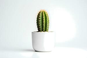 ai generato davanti Visualizza di piccolo pianta nel pentola succulente o cactus isolato su bianca sfondo. interno impianti. foto