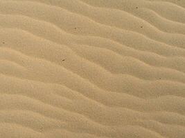 consistenza della sabbia. spiaggia sabbiosa per lo sfondo. vista dall'alto foto