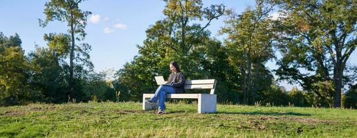 lato Visualizza di giovane donna seduta solo nel parco su panca, utilizzando sua il computer portatile per studia o opera remoto a partire dal all'aperto foto