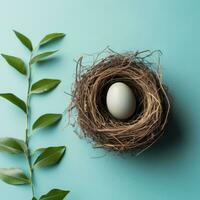 ai generato un' semplice ancora elegante Immagine di un' singolo Pasqua uovo nel un' nido circondato foto