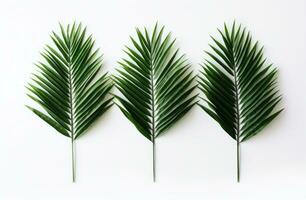 ai generato tre le foglie di verde palma alberi nel un' bianca sfondo, foto