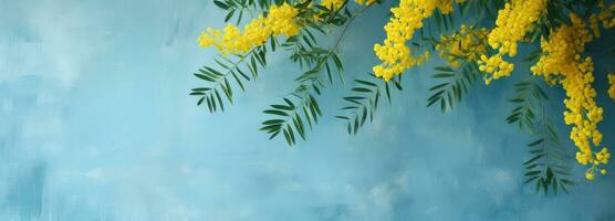 ai generato un' giallo mimosa con verde le foglie in crescita su su un' blu parete, foto