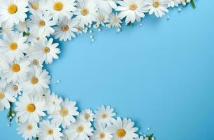 ai generato margherita telaio con bianca fiori su un' blu sfondo, foto