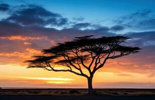 ai generato un' silhouette acacia albero contro il cielo foto