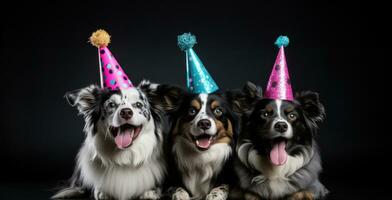 ai generato tre cani nel festa cappelli in piedi al di sopra di un' nero sfondo foto