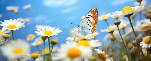 ai generato il giallo farfalla nel un' fiore campo con blu cielo e giallo margherite foto