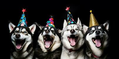 ai generato tre cani nel festa cappelli in piedi al di sopra di un' nero sfondo foto