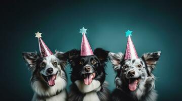 ai generato tre cani nel festa cappelli in piedi al di sopra di un' nero sfondo foto