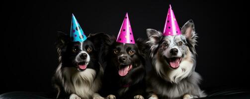 ai generato tre cani nel festa cappelli in piedi al di sopra di un' nero sfondo foto