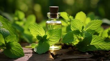 ai generato verde le foglie e menta le foglie nel un essenziale olio bottiglia con menta le foglie foto