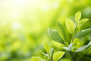 ai generato natura di verde foglia nel un' giardino nel estate sotto luce del sole. primavera sfondo. ai generato foto