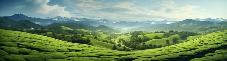 ai generato un' bellissimo scenario di verde colline e tè i campi foto